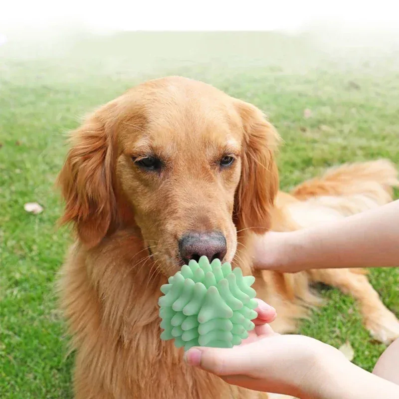 Genoppter Leckerli-Ball aus Gummi für Hunde und Katzen – Bild 3